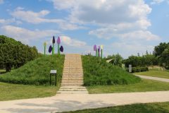 Petals on the north knoll