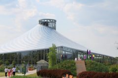 Petals in front of the leaf